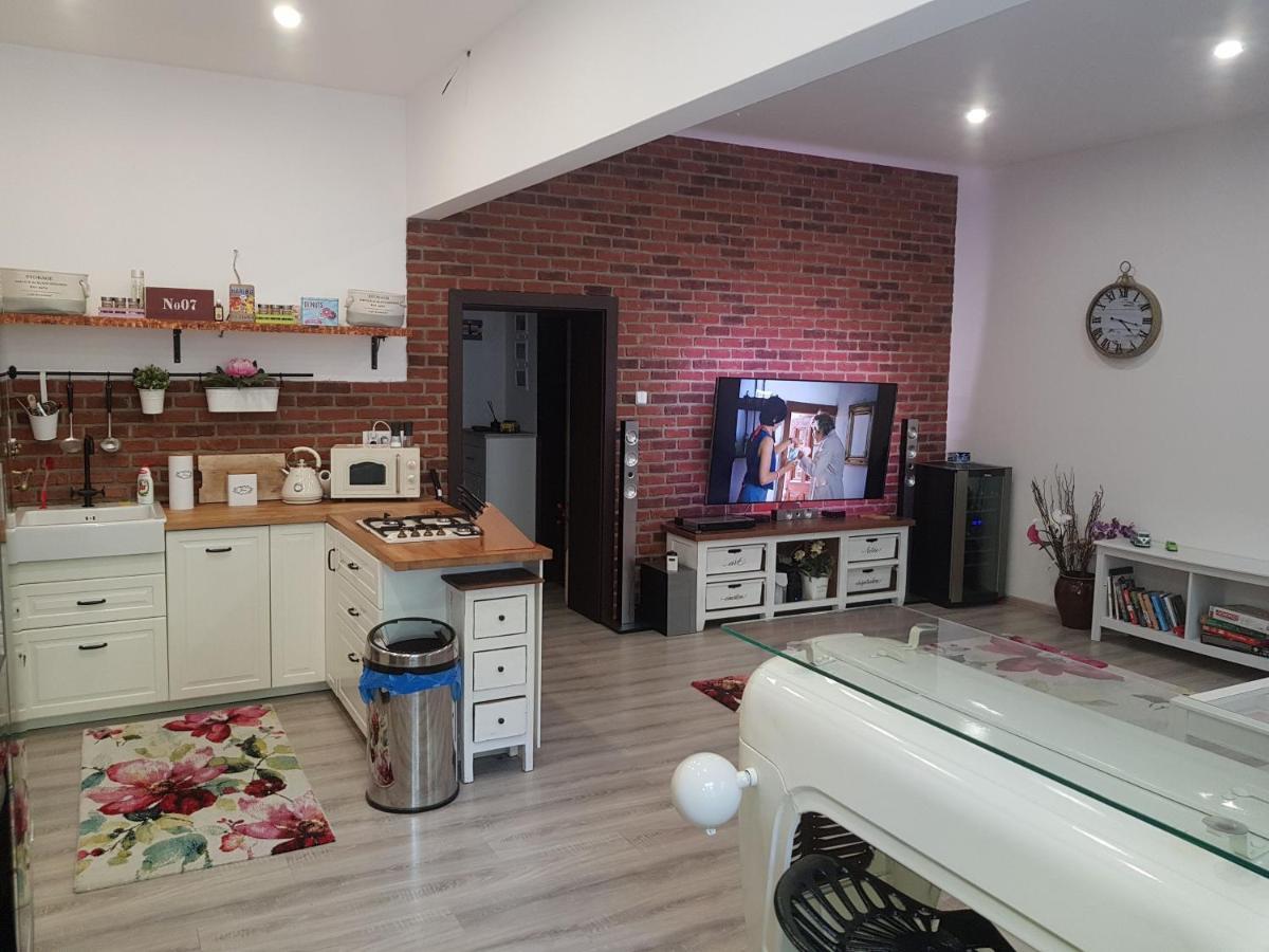Apartman Karlovy Varyアパートメント エクステリア 写真