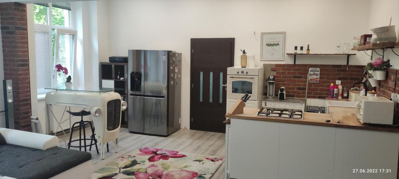Apartman Karlovy Varyアパートメント エクステリア 写真