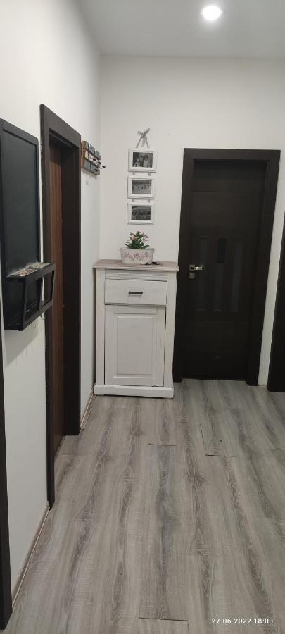 Apartman Karlovy Varyアパートメント エクステリア 写真