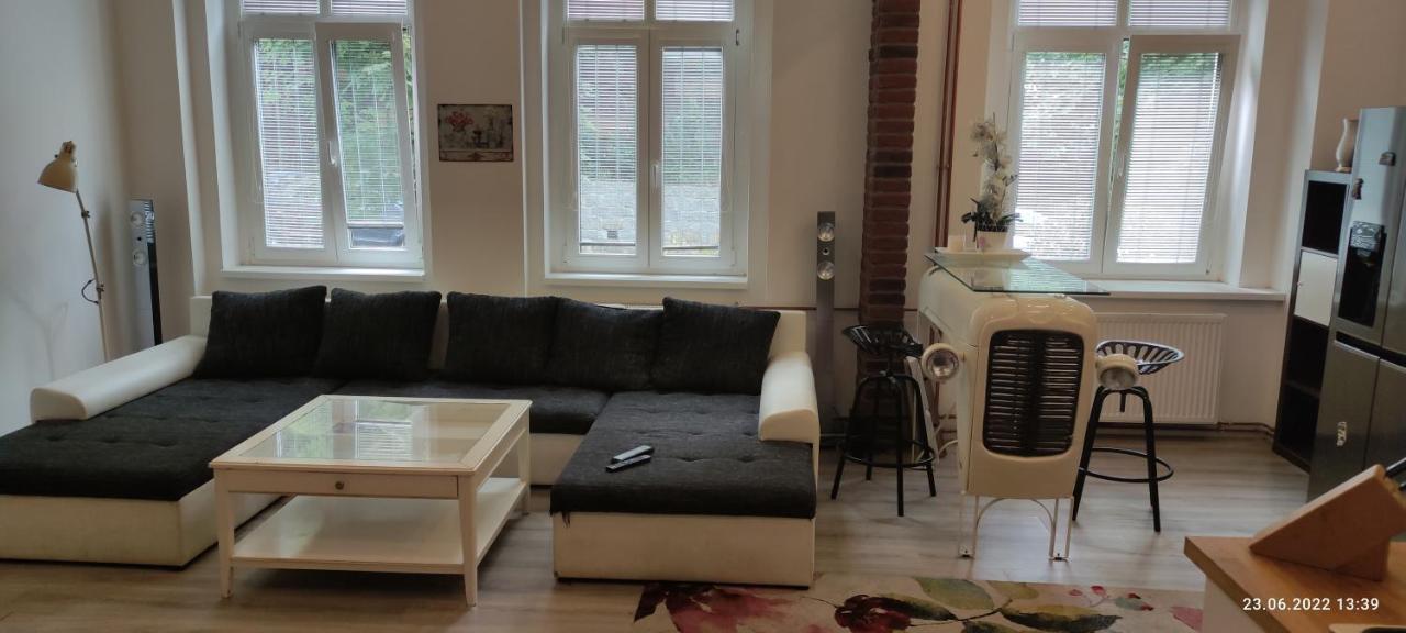 Apartman Karlovy Varyアパートメント エクステリア 写真