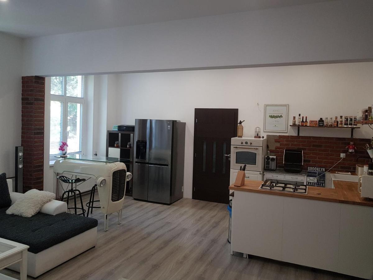 Apartman Karlovy Varyアパートメント エクステリア 写真